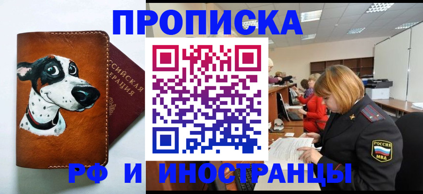 прописка для работы в Камышине